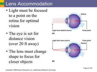 Copyright © 2006 Pearson Education, Inc., publishing as Benjamin Cummings
Lens Accommodation
 Light must be focused
to a point on the
retina for optimal
vision
 The eye is set for
distance vision
(over 20 ft away)
 The lens must change
shape to focus for
closer objects
Figure 8.9
 