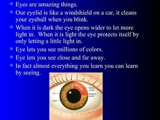 Eyes are amazing things. Our eyelid is like a windshield on a car, it cleans your eyeball when you blink. When it is dark the eye opens wider to let more light in.  When it is light the eye protects itself by only letting a little light in. Eye lets you see millions of colors. Eye lets you see close and far away. In fact almost everything you learn you can learn by seeing. 