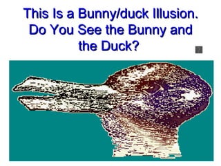 This Is a Bunny/duck Illusion. Do You See the Bunny and the Duck?  