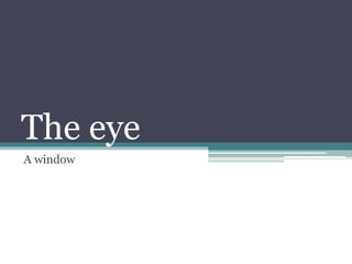 The eye
A window
 