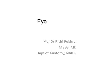 Eye
Maj Dr Rishi Pokhrel
MBBS, MD
Dept of Anatomy, NAIHS
 