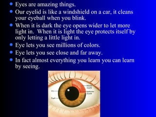  Eyes are amazing things.
 Our eyelid is like a windshield on a car, it cleans
your eyeball when you blink.
 When it is dark the eye opens wider to let more
light in. When it is light the eye protects itself by
only letting a little light in.
 Eye lets you see millions of colors.
 Eye lets you see close and far away.
 In fact almost everything you learn you can learn
by seeing.
 