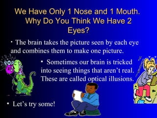 We Have Only 1 Nose and 1 Mouth.We Have Only 1 Nose and 1 Mouth.
Why Do You Think We Have 2Why Do You Think We Have 2
Eyes?Eyes?
• The brain takes the picture seen by each eye
and combines them to make one picture.
• Sometimes our brain is tricked
into seeing things that aren’t real.
These are called optical illusions.
• Let’s try some!
 