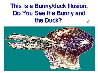 This Is a Bunny/duck Illusion.This Is a Bunny/duck Illusion.
Do You See the Bunny andDo You See the Bunny and
the Duck?the Duck?
 