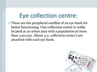 Eye | PPTX