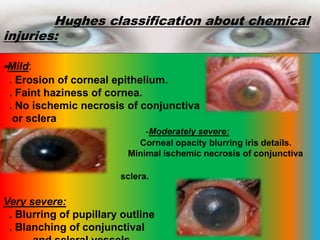 Hughes Classification Eye | PPTX