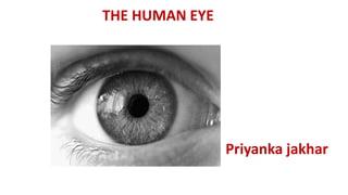 THE HUMAN EYE
Priyanka jakhar
 