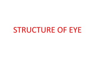 STRUCTURE OF EYE
 