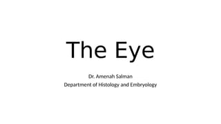 The Eye
Dr. Amenah Salman
Department of Histology and Embryology
 