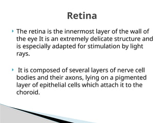 Understanding the Structure and Functions of the Eye in Human ...