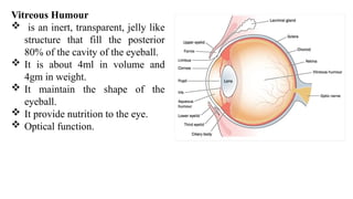 Viterous Humor Function Eye anatomy with detail description.pptx