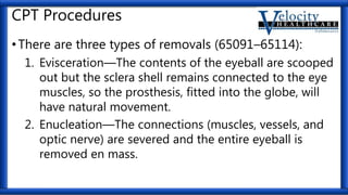CPT Procedures
•There are three types of removals (65091–65114):
1. Evisceration—The contents of the eyeball are scooped
out but the sclera shell remains connected to the eye
muscles, so the prosthesis, fitted into the globe, will
have natural movement.
2. Enucleation—The connections (muscles, vessels, and
optic nerve) are severed and the entire eyeball is
removed en mass.
 