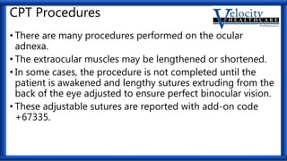 CPT Procedures
• There are many procedures performed on the ocular
adnexa.
• The extraocular muscles may be lengthened or shortened.
• In some cases, the procedure is not completed until the
patient is awakened and lengthy sutures extruding from the
back of the eye adjusted to ensure perfect binocular vision.
• These adjustable sutures are reported with add-on code
+67335.
 