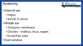 Anatomy
•External ear
• tragus
• auricle or pinna
•Middle ear
• Tympanic membrane
• Ossicles – malleus, incus, stapes
• Eustachian tube
•Oval window
 