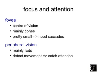 focus and attention
fovea
  • centre of vision
  • mainly cones
  • pretty small => need saccades

peripheral vision
  • m...