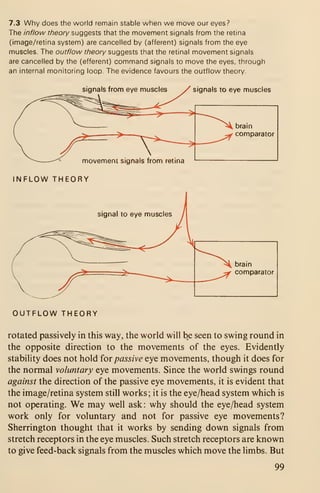 7.3 Why does the world remain stable when we move our eyes?
The inflow theory suggests that the movement signals from the retina
(image/retina system) are cancelled by (afferent) signals from the eye
muscles. The outflow theory suggests that the retinal movement signals
are cancelled by the (efferent) command signals to move the eyes, through
an internal monitoring loop. The evidence favours the outflow theory.
signals from eye muscles signals to eye muscles
movement signals from retina
INFLOW THEORY
OUTFLOW THEORY
rotated passively in this way, the world will be seen to swing round in
the opposite direction to the movements of the eyes. Evidently
stability does not hold iov passive eye movements, though it does for
the normal voluntary eye movements. Since the world swings round
against the direction of the passive eye movements, it is evident that
the image/retina system still works ; it is the eye/head system which is
not operating. We may well ask: why should the eye/head system
work only for voluntary and not for passive eye movements?
Sherrington thought that it works by sending down signals from
stretch receptors in the eye muscles. Such stretch receptors are known
to give feed-back signals from the muscles which move the limbs. But
99
 