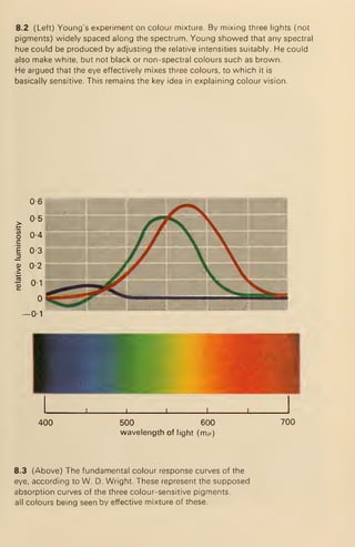 8.2 (Left) Young's experiment on colour mixture. By mixing three liglits (not
pigments) widely spaced along the spectrum. Young showed that any spectral
hue could be produced by adjusting the relative intensities suitably. He could
also make white, but not black or non-spectral colours such as brown.
He argued that the eye effectively mixes three colours, to which it is
basically sensitive. This remains the key idea in explaining colour vision.
400 500 600
wavelength of light (m//)
700
8.3 (Above) The fundamental colour response curves of the
eye, according to W. D. Wright. These represent the supposed
absorption curves of the three colour-sensitive pigments,
all colours being seen by effective mixture of these.
 