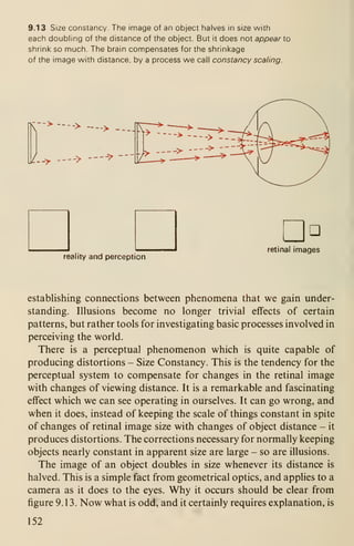 9.13 Size constancy. The image of an object halves in size with
each doubling of the distance of the object. But it does not appear o
shrink so much. The brain compensates for the shrinkage
of the image with distance, by a process we call constancy scaling.
n->--> ->
[/-> -—>
--^ -
reality and perception
retinal images
establishing connections between phenomena that we gain under-
standing. Illusions become no longer trivial effects of certain
patterns, but rather tools for investigating basic processes involved in
perceiving the world.
There is a perceptual phenomenon which is quite capable of
producing distortions - Size Constancy. This is the tendency for the
perceptual system to compensate for changes in the retinal image
with changes of viewing distance. It is a remarkable and fascinating
effect which we can see operating in ourselves. It can go wrong, and
when it does, instead of keeping the scale of things constant in spite
of changes of retinal image size with changes of object distance - it
produces distortions. The corrections necessary for normally keeping
objects nearly constant in apparent size are large - so are illusions.
The image of an object doubles in size whenever its distance is
halved. This is a simple fact from geometrical optics, and applies to a
camera as it does to the eyes. Why it occurs should be clear from
figure 9.13. Now what is odd, and it certainly requires explanation, is
152
 