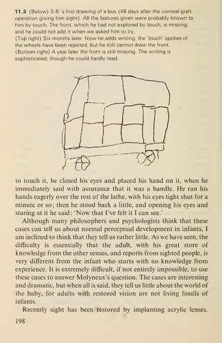 11 .3 (Below) S.B.'s first drawing of a bus (48 days after the corneal graft
operation giving him sight). All the features given were probably known to
him by touch. The front, which he had not explored by touch, is missing,
and he could not add it when we asked him to try.
(Top right) Six months later. Now he adds writing, the 'touch' spokes of
the wheels have been rejected, but he still cannot draw the front.
(Bottom right) A year later the front is still missing. The writing is
sophisticated, though he could hardly read.
to touch it, he closed his eyes and placed his hand on it, when he
immediately said with assurance that it was a handle. He ran his
hands eagerly over the rest of the lathe, with his eyes tight shut for a
minute or so; then he stood back a little, and opening his eyes and
staring at it he said: 'Now that I've felt it I can see.'
Although many philosophers and psychologists think that these
cases can tell us about normal perceptual development in infants, I
am inclined to think that they tell us rather little. As we have seen, the
difficulty is essentially that the adult, with his great store of
knowledge from the other senses, and reports from sighted people, is
very different from the infant who starts with no knowledge from
experience. It is extremely difficult, if not entirely impossible, to use
these cases to answer Molyneux's question. The cases are interesting
and dramatic, but when all is said, they tell us little about the world of
the baby, for adults with restored vision are not living fossils of
infants.
Recently sight has been restored by implanting acrylic lenses.
198
 
