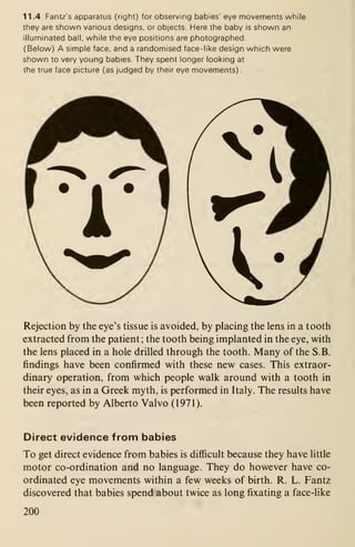 11 .4 Fantz's apparatus (right) for observing babies' eye movements while
they are shown various designs, or objects. Here the baby is shown an
illuminated ball, while the eye positions are photographed.
(Below) A simple face, and a randomised face-like design which were
shown to very young babies. They spent longer looking at
the true face picture (as judged by their eye movements).
Rejection by the eye's tissue is avoided, by placing the lens in a tooth
extracted from the patient; the tooth being implanted in the eye, with
the lens placed in a hole drilled through the tooth. Many of the S.B.
findings have been confirmed with these new cases. This extraor-
dinary operation, from which people walk around with a tooth in
their eyes, as in a Greek myth, is performed in Italy. The results have
been reported by Alberto Valvo (1971).
Direct evidence from babies
To get direct evidence from babies is difiicult because they have little
motor co-ordination and no language. They do however have co-
ordinated eye movements within a few weeks of birth. R. L. Fantz
discovered that babies spend about twice as long fixating a face-like
200
 