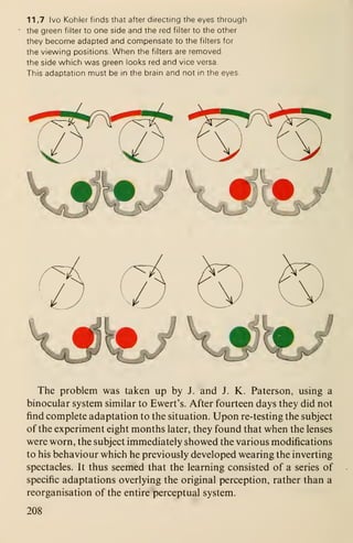 11,7 Ivo Kohler finds that after directing the eyes through
the green filter to one side and the red filter to the other
they become adapted and compensate to the filters for
the viewing positions. When the filters are removed
the side which was green looks red and vice versa.
This adaptation must be in the brain and not in the eyes.
The problem was taken up by J. and J. K. Paterson, using a
binocular system similar to Ewert's. After fourteen days they did not
find complete adaptation to the situation. Upon re-testing the subject
of the experiment eight months later, they found that when the lenses
were worn, the subject immediately showed the various modifications
to his behaviour which he previously developed wearing the inverting
spectacles. It thus seemed that the learning consisted of a series of
specific adaptations overlying the original perception, rather than a
reorganisation of the entire perceptual system.
208
 