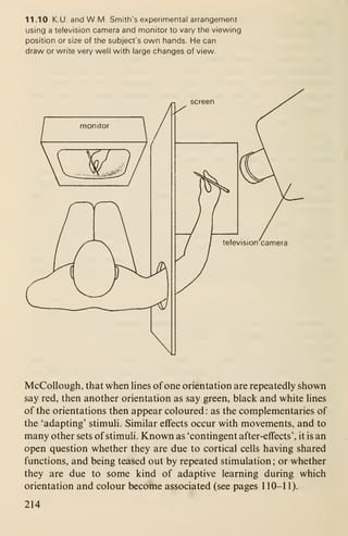 11.10 K.U. and W.M. Smith's experimental arrangement
using a television camera and monitor to vary the viewing
position or size of the subject's own hands. He can
draw or write very well with large changes of view.
McCollough, that when Hnes of one orientation are repeatedly shown
say red, then another orientation as say green, black and white lines
of the orientations then appear coloured : as the complementaries of
the 'adapting' stimuli. Similar effects occur with movements, and to
many other sets of stimuli. Known as 'contingent after-effects', it is an
open question whether they are due to cortical cells having shared
functions, and being teased out by repeated stimulation; or whether
they are due to some kind of adaptive learning during which
orientation and colour become associated (see pages 110-11).
214
 