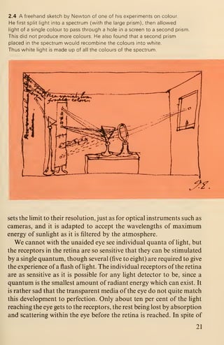 2.4 A freehand sketch by Newton of one of his experiments on colour.
He first split light into a spectrum (with the large prism), then allowed
light of a single colour to pass through a hole in a screen to a second prism.
This did not produce more colours. He also found that a second prism
placed in the spectrum would recombine the colours into white
Thus white light is made up of all the colours of the spectrum.
sets the limit to their resolution, just as for optical instruments such as
cameras, and it is adapted to accept the wavelengths of maximum
energy of sunlight as it is filtered by the atmosphere.
We cannot with the unaided eye see individual quanta of light, but
the receptors in the retina are so sensitive that they can be stimulated
by a single quantum, though several (five to eight) are required to give
the experience of a flash of light. The individual receptors of the retina
are as sensitive as it is possible for any light detector to be, since a
quantum is the smallest amount of radiant energy which can exist. It
is rather sad that the transparent media of the eye do not quite match
this development to perfection. Only about ten per cent of the light
reaching the eye gets to the receptors, the rest being lost by absorption
and scattering within the eye before the retina is reached. In spite of
21
 