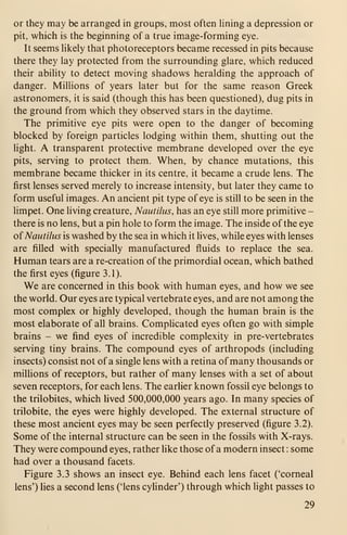 or they may be arranged in groups, most often lining a depression or
pit, which is the beginning of a true image-forming eye.
It seems hkely that photoreceptors became recessed in pits because
there they lay protected from the surrounding glare, which reduced
their ability to detect moving shadows heralding the approach of
danger. Millions of years later but for the same reason Greek
astronomers, it is said (though this has been questioned), dug pits in
the ground from which they observed stars in the daytime.
The primitive eye pits were open to the danger of becoming
blocked by foreign particles lodging within them, shutting out the
light. A transparent protective membrane developed over the eye
pits, serving to protect them. When, by chance mutations, this
membrane became thicker in its centre, it became a crude lens. The
first lenses served merely to increase intensity, but later they came to
form useful images. An ancient pit type of eye is still to be seen in the
limpet. One living creature. Nautilus, has an eye still more primitive -
there is no lens, but a pin hole to form the image. The inside of the eye
of Nautilus is washed by the sea in which it lives, while eyes with lenses
are filled with specially manufactured fluids to replace the sea.
Human tears are a re-creation of the primordial ocean, which bathed
the first eyes (figure 3.1).
We are concerned in this book with human eyes, and how we see
the world. Our eyes are typical vertebrate eyes, and are not among the
most complex or highly developed, though the human brain is the
most elaborate of all brains. Complicated eyes often go with simple
brains - we find eyes of incredible complexity in pre-vertebrates
serving tiny brains. The compound eyes of arthropods (including
insects) consist not of a single lens with a retina of many thousands or
millions of receptors, but rather of many lenses with a set of about
seven receptors, for each lens. The earlier known fossil eye belongs to
the trilobites, which lived 500,000,000 years ago. In many species of
trilobite, the eyes were highly developed. The external structure of
these most ancient eyes may be seen perfectly preserved (figure 3.2).
Some of the internal structure can be seen in the fossils with X-rays.
They were compound eyes, rather like those of a modern insect : some
had over a thousand facets.
Figure 3.3 shows an insect eye. Behind each lens facet ('corneal
lens') lies a second lens ('lens cylinder') through which light passes to
29
 