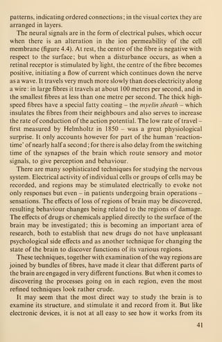 patterns, indicating ordered connections ; in the visual cortex they are
arranged in layers.
The neural signals are in the form of electrical pulses, which occur
when there is an alteration in the ion permeability of the cell
membrane (figure 4.4). At rest, the centre of the fibre is negative with
respect to the surface; but when a disturbance occurs, as when a
retinal receptor is stimulated by light, the centre of the fibre becomes
positive, initiating a flow of current which continues down the nerve
as a wave. It travels very much more slowly than does electricity along
a wire : in large fibres it travels at about 100 metres per second, and in
the smallest fibres at less than one metre per second. The thick high-
speed fibres have a special fatty coating - the myelin sheath - which
insulates the fibres from their neighbours and also serves to increase
the rate of conduction of the action potential. The low rate of travel -
first measured by Helmholtz in 1850 - was a great physiological
surprise. It only accounts however for part of the human 'reaction-
time' of nearly half a second ; for there is also delay from the switching
time of the synapses of the brain which route sensory and motor
signals, to give perception and behaviour.
There are many sophisticated techniques for studying the nervous
system. Electrical activity of individual cells or groups of cells may be
recorded, and regions may be stimulated electrically to evoke not
only responses but even - in patients undergoing brain operations -
sensations. The effects of loss of regions of brain may be discovered,
resulting behaviour changes being related to the regions of damage.
The effects of drugs or chemicals applied directly to the surface of the
brain may be investigated; this is becoming an important area of
research, both to establish that new drugs do not have unpleasant
psychological side effects and as another technique for changing the
state of the brain to discover functions of its various regions.
These techniques, together with examination of the way regions are
joined by bundles of fibres, have made it clear that different parts of
the brain are engaged in very different functions. But when it comes to
discovering the processes going on in each region, even the most
refined techniques look rather crude.
It may seem that the most direct way to study the brain is to
examine its structure, and stimulate it and record from it. But like
electronic devices, it is not at all easy to see how it works from its
41
 