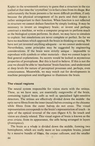 Kepler in the seventeenth century to guess that a structure in the eye
(called at that time the 'crystalline') is in fact a lens from its shape. But
unfortunately the brain presents a far more difficult problem, if only
because the physical arrangement of its parts and their shapes is
rather unimportant to their function. When function is not reflected
in structure we cannot deduce function by simply looking. It may be
necessary to invent an imaginary brain; or invent and perhaps
construct a machine, or write a computer program to perform much
as the biological system performs. In short, we may have to simulate
to explain : but simulations are never complete or perfect. So far we
have no machines which approach the brain in thinking or seeing. We
have not yet invented anything adequate - so we cannot understand.
Nevertheless, some principles may be suggested by engineering
considerations. If the brain were strictly unique - impossible to
reproduce with symbols or other materials - then we cannot hope to
find general explanations. Its secrets would be locked in mysterious
properties of protoplasm. But this is hard to believe. If this is not the
case we should be able to 'mechanise' brain function ; and understand
at deep levels the nature of perceptual processes and, perhaps, even
consciousness. Meanwhile, we may watch out for developments in
machine perception and intelligence to illuminate the brain.
The visual regions
The neural system responsible for vision starts with the retinas.
These, as we have seen, are essentially outgrowths of the brain,
containing typical brain cells as well as specialised light-sensitive
detectors. The retinas are effectively divided down the middle: the
optic nerve fibres from the inner (nasal) halves crossing at the chiasma
while fibres from the outer halves do not cross. The visual
representation corresponds to the brain's representation of touch - in
spite of the optical reversal of the eyes (figure 4.5). So touch and
vision are closely related. This visual region of brain is known as the
area striata, from its appearance, the cells being arranged in layers
{frontispiece).
The brain as a whole is divided down the middle, forming two
hemispheres, which are really more or less complete brains, joined
by a massive bundle of fibres, the corpus callosum, and the smaller
44
 
