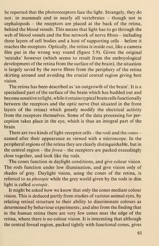 he reported that the photoreceptors face the hght. Strangely, they do
not: in mammals and in nearly all vertebrates - though not in
cephalopods - the receptors are placed at the back of the retina,
behind the blood vessels. This means that light has to go through the
web of blood vessels and the fine network of nerve fibres - including
three layers of cell bodies and a host of supporting cells - before it
reaches the receptors. Optically, the retina is inside out, like a camera
film put in the wrong way round (figure 5.9). Given the original
'mistake' however (which seems to result from the embryological
development of the retina from the surface of the brain), the situation
is largely saved by the nerve fibres from the periphery of the retina
skirting around and avoiding the crucial central region giving best
vision.
The retina has been described as 'an outgrowth of the brain'. It is a
specialised part of the surface of the brain which has budded out and
become sensitive to light, while it retains typical brain cells functionally
between the receptors and the optic nerve (but situated in the front
layers of the retina) which greatly modify the electrical activity
from the receptors themselves. Some of the data processing for per-
ception takes place in the eye, which is thus an integral part of the
brain.
There are two kinds of light-receptor cells - the rods and the cones
-
named after their appearance as viewed with a microscope. In the
peripheral regions of the retina they are clearly distinguishable, but in
the central region - the fovea - the receptors are packed exceedingly
close together, and look like the rods.
The cones function in daylight conditions, and give colour vision.
The rods function under low illumination, and give vision only of
shades of grey. Daylight vision, using the cones of the retina, is
referred to as photopic while the grey world given by the rods in dim
light is called scotopic.
It might be asked how we know that only the cones mediate colour
vision. This is deduced partly from studies of various animal eyes, by
relating retinal structure to their ability to discriminate colours as
determined by behaviour experiments; and also from the finding that
in the human retina there are very few cones near the edge of the
retina, where there is no colour vision. It is interesting that although
the central foveal region, packed tightly with functional cones, gives
61
 