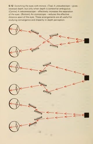 5.12 Switching the eyes with mirrors (Top) A pseudoscope — g'wes
reversed depth, but only when depth is somewhat ambiguous.
(Centre) A telestereoscope -effectively increases the separation
of the eyes. (Bottom) An iconoscope - reduces the effective
distance apart of the eyes. These arrangements are all useful for
studying convergence and disparity in depth perception.
 