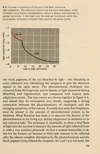 6.2 Increase in sensitivity of the eye in the dark, known as
dark adaptation. The red curve shows how the cone cells adapt, while
the black curve shows rod adaptation, which is slower and proceeds to
greater sensitivity. In dim light only the rods are functional, while they
are probably inhibited in brighter light used by the active cones.
10 15 20 25
time in dark (minutes)
the visual pigments of the eye bleached by light - this bleaching in
some unknown way stimulating the receptors to give the electrical
signals to the optic nerve. The photochemical rhodopsin was
extracted from the frog's eye, and its density to light measured during
bleaching and regeneration, and compared with human dark
adaptation curves. The two curves are shown together in figure 6.4,
and indeed they do correspond very closely, suggesting a strong
connection between the photochemistry of rhodopsin and the
changing sensitivity of the rod eye. It would also seem that brightness
must be related to the amount of photochemical present to be
bleached. What Rushton has done is to measure the density of the
photochemical in the living eye, during adaptation to darkness or to
any coloured light. The technique is, essentially, to shine a brief flash
of light into the eye and to measure the amount of light reflected from
it, with a very sensitive photocell. At first it seemed impossible to do
this for the human eye because so little light remains to be reflected
after the almost complete absorption by the photochemicals and the
black pigment lying behind the receptors. So a cat's eye was used, the
79
 