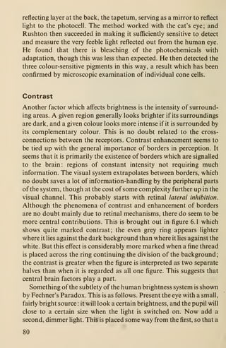 reflecting layer at the back, the tapetum, serving as a mirror to reflect
Ught to the photocell. The method worked with the cat's eye; and
Rushton then succeeded in making it sufficiently sensitive to detect
and measure the very feeble light reflected out from the human eye.
He found that there is bleaching of the photochemicals with
adaptation, though this was less than expected. He then detected the
three colour-sensitive pigments in this way, a result which has been
confirmed by microscopic examination of individual cone cells.
Contrast
Another factor which affects brightness is the intensity of surround-
ing areas. A given region generally looks brighter if its surroundings
are dark, and a given colour looks more intense if it is surrounded by
its complementary colour. This is no doubt related to the cross-
connections between the receptors. Contrast enhancement seems to
be tied up with the general importance of borders in perception. It
seems that it is primarily the existence of borders which are signalled
to the brain: regions of constant intensity not requiring much
information. The visual system extrapolates between borders, which
no doubt saves a lot of information-handling by the peripheral parts
of the system, though at the cost of some complexity further up in the
visual channel. This probably starts with retinal lateral inhibition.
Although the phenomena of contrast and enhancement of borders
are no doubt mainly due to retinal mechanisms, there do seem to be
more central contributions. This is brought out in figure 6.1 which
shows quite marked contrast; the even grey ring appears lighter
where it lies against the dark background than where it lies against the
white. But this effect is considerably more marked when a fine thread
is placed across the ring continuing the division of the background;
the contrast is greater when the figure is interpreted as two separate
halves than when it is regarded as all one figure. This suggests that
central brain factors play a part.
Something of the subtlety of the human brightness system is shown
by Fechner's Paradox. This is as follows. Present the eye with a small,
fairly bright source : it will look a certain brightness, and the pupil will
close to a certain size when the light is switched on. Now add a
second, dimmer light. This is placed some way from the first, so that a
80
 
