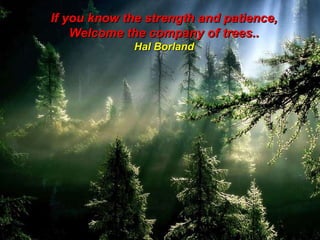 If you know the strength and patience, Welcome the company of trees.. Hal Borland 