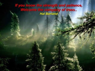 If you know the strength and patience,
Welcome the company of trees..
Hal Borland

 