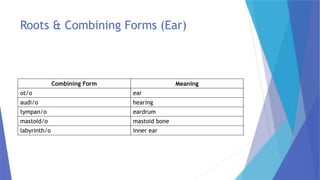 Root Combining Form Comprehensive Medical Terminology: Senses & Lymphatic Systems Explained ...