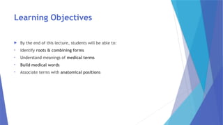 S Pro Pinical Rots Comprehensive Medical Terminology: Senses & Lymphatic Systems Explained ...