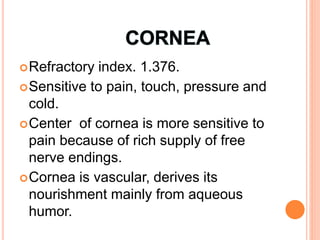 Refractory index. 1.376.
Sensitive to pain, touch, pressure and
cold.
Center of cornea is more sensitive to
pain because of rich supply of free
nerve endings.
Cornea is vascular, derives its
nourishment mainly from aqueous
humor.
 