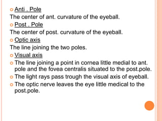  Anti . Pole
The center of ant. curvature of the eyeball.
 Post . Pole
The center of post. curvature of the eyeball.
 Optic axis
The line joining the two poles.
 Visual axis
 The line joining a point in cornea little medial to ant.
pole and the fovea centralis situated to the post.pole.
 The light rays pass trough the visual axis of eyeball.
 The optic nerve leaves the eye little medical to the
post.pole.
 
