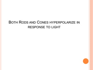 BOTH RODS AND CONES HYPERPOLARIZE IN
RESPONSE TO LIGHT
 