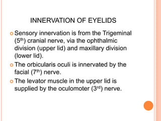 INNERVATION OF EYELIDS
 Sensory innervation is from the Trigeminal
(5th) cranial nerve, via the ophthalmic
division (upper lid) and maxillary division
(lower lid).
 The orbicularis oculi is innervated by the
facial (7th) nerve.
 The levator muscle in the upper lid is
supplied by the oculomoter (3rd) nerve.
 