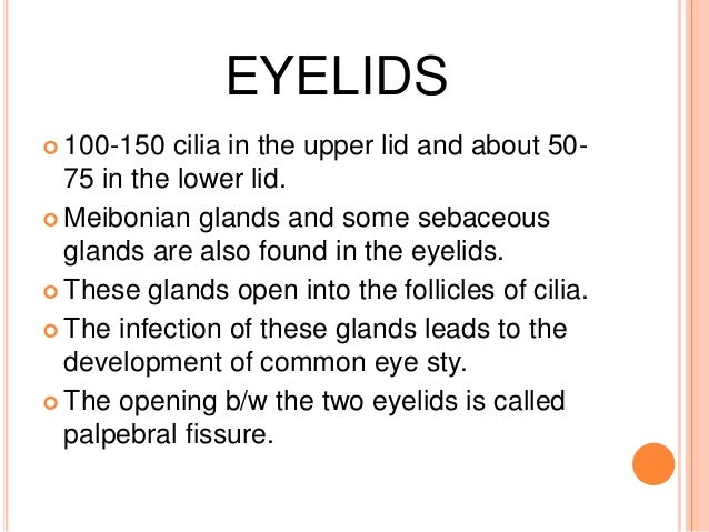 Eye Vision