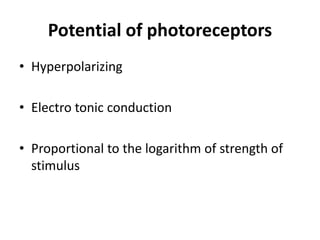 Potential of photoreceptors
• Hyperpolarizing
• Electro tonic conduction
• Proportional to the logarithm of strength of
stimulus
 