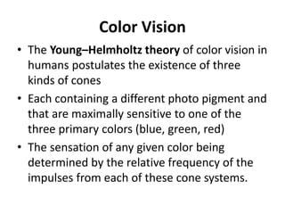 Color Vision
• The Young–Helmholtz theory of color vision in
humans postulates the existence of three
kinds of cones
• Each containing a different photo pigment and
that are maximally sensitive to one of the
three primary colors (blue, green, red)
• The sensation of any given color being
determined by the relative frequency of the
impulses from each of these cone systems.
 
