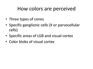 How colors are perceived
• Three types of cones
• Specific ganglionic cells (X or parvocellular
cells)
• Specific areas of LGB and visual cortex
• Color blobs of visual cortex
 