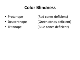 Color Blindness
• Protanope (Red cones deficient)
• Deuteranope (Green cones deficient)
• Tritanope (Blue cones deficient)
 