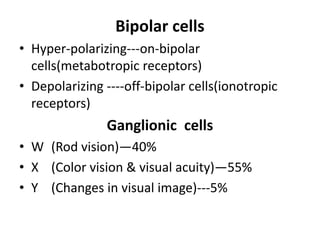 Bipolar cells
• Hyper-polarizing---on-bipolar
cells(metabotropic receptors)
• Depolarizing ----off-bipolar cells(ionotropic
receptors)
Ganglionic cells
• W (Rod vision)—40%
• X (Color vision & visual acuity)—55%
• Y (Changes in visual image)---5%
 