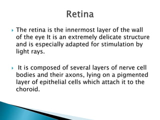 The retina is the innermost layer of the wall
of the eye It is an extremely delicate structure
and is especially adapted for stimulation by
light rays.
 It is composed of several layers of nerve cell
bodies and their axons, lying on a pigmented
layer of epithelial cells which attach it to the
choroid.
 