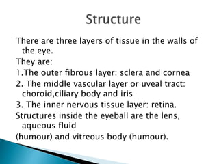 There are three layers of tissue in the walls of
the eye.
They are:
1.The outer fibrous layer: sclera and cornea
2. The middle vascular layer or uveal tract:
choroid,ciliary body and iris
3. The inner nervous tissue layer: retina.
Structures inside the eyeball are the lens,
aqueous fluid
(humour) and vitreous body (humour).
 